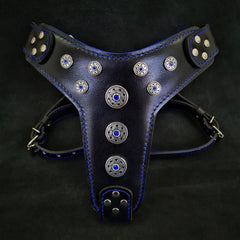 ''Bijou'' harness Black & Blue for big dogs