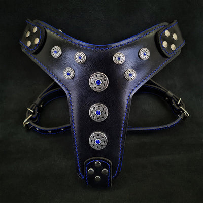 ''Bijou'' harness Black & Blue for big dogs
