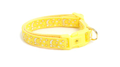 Gold Moons and Stars on Yellow Cat Collar